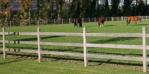 Farms turn to the equestrian world for alternative source of income